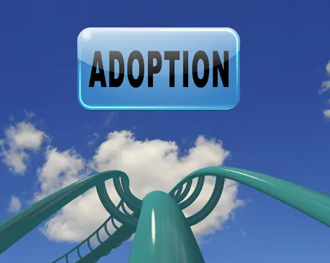 The Adoption Rollercoaster