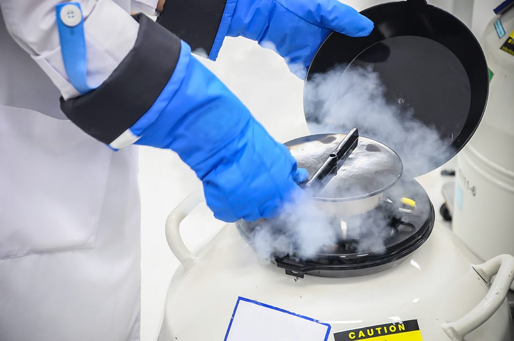 6 Things you Never Knew you Could put in a Prenup, from sex toys to Frozen Eggs
