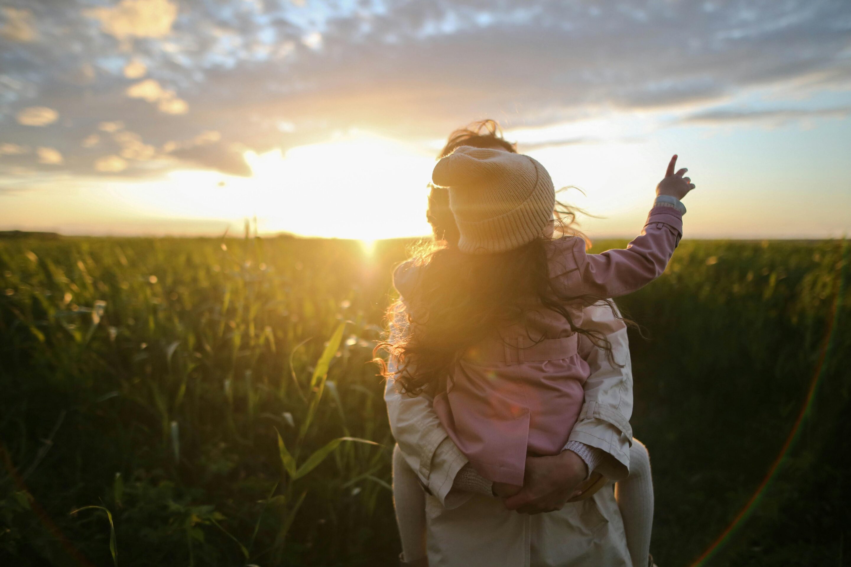 Navigating Divorce in North Carolina: What to Do Once You've Made the Decision